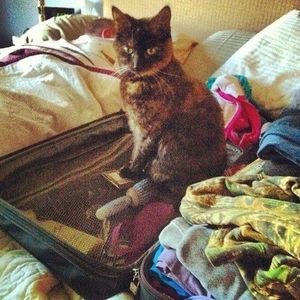 Meet your Posher, David